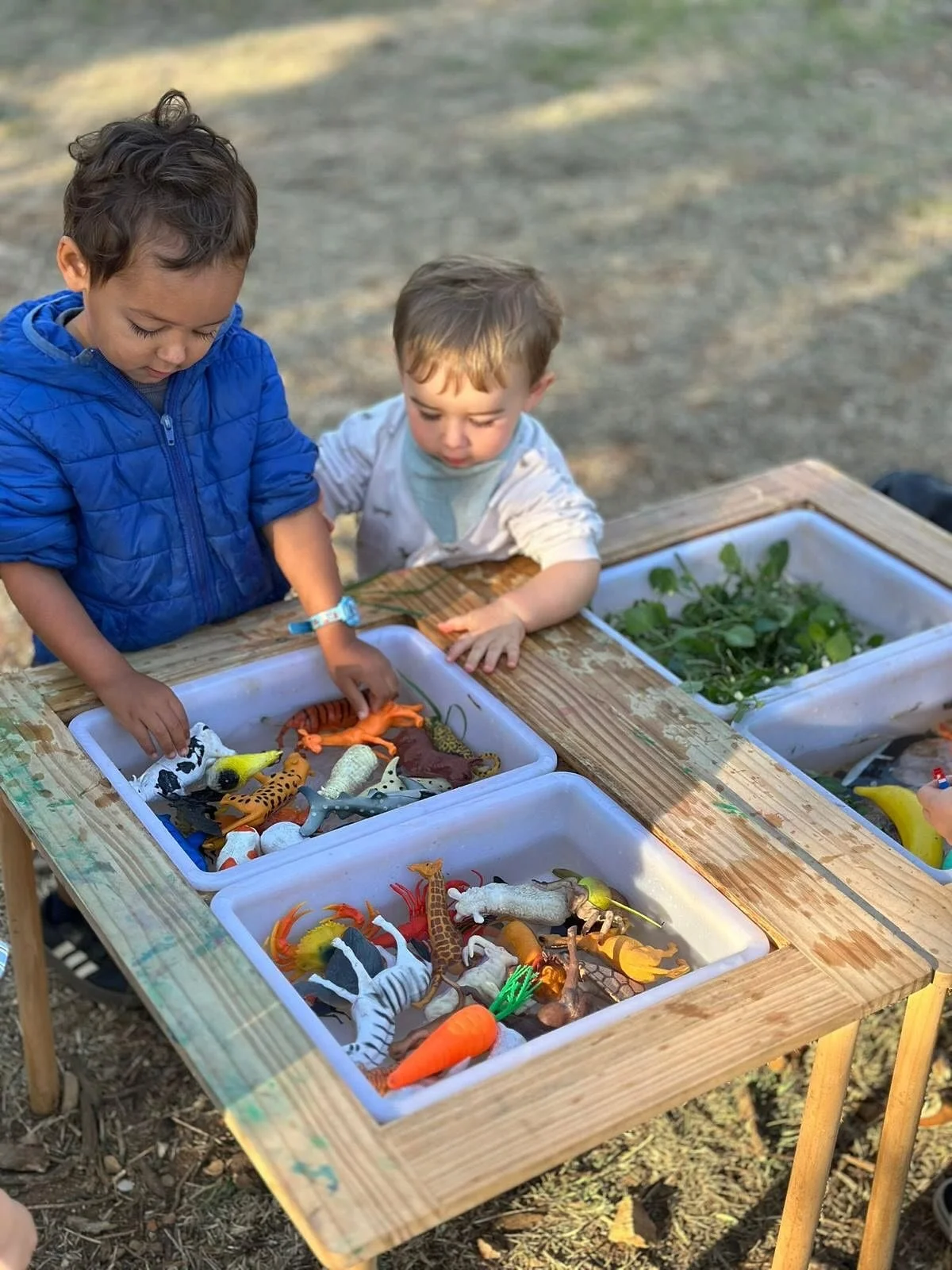 🍁 Exploring autumn magic! 🌈 Discovering the colours, shapes, and textures of fall leaves through play, art, and adventure! 🍂✨

&mdash;
🍁 A explorar a magia do outono! 🌈 Descobrir as cores, formas e texturas das folhas atrav&eacute;s do brincar, 