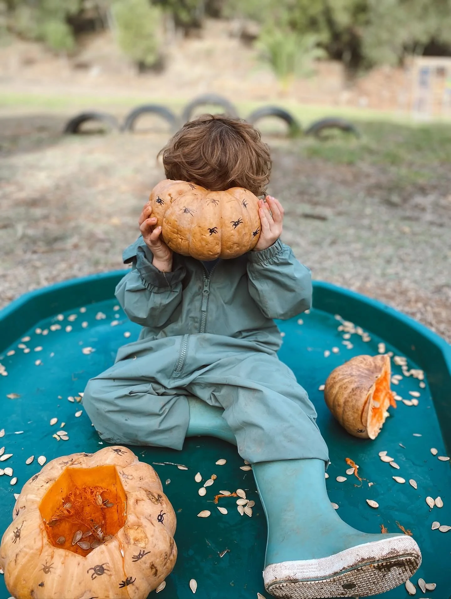 Pumpkin fun all week long &mdash; exploring, creating, and getting a little messy! 🎃🍂

__
Divers&atilde;o com ab&oacute;boras durante toda a semana &mdash; a explorar, criar e sujar um bocadinho! 🎃🍂