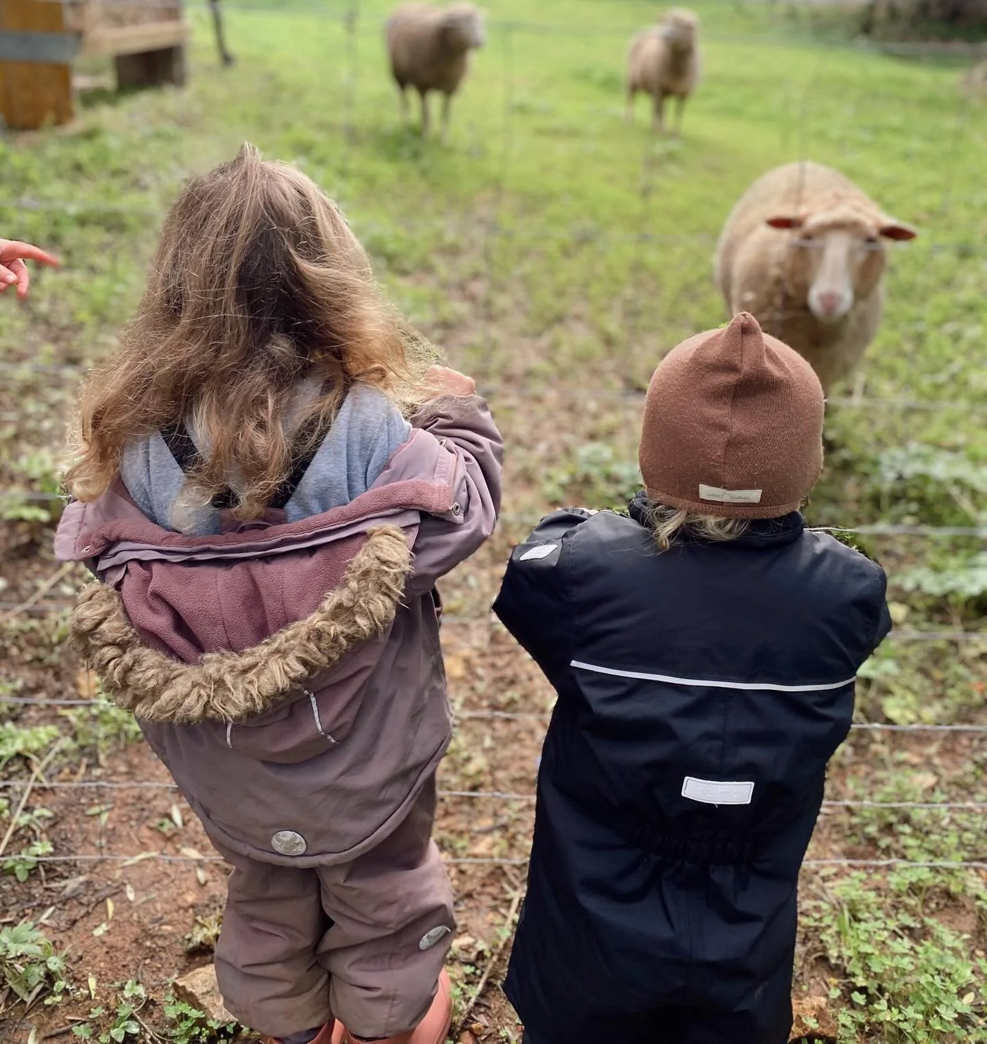 Making the best of a rainy week finding joy in the little moments ☔️

__
Aproveitar o melhor de uma semana chuvosa encontrando alegria nos pequenos momentos ☔️