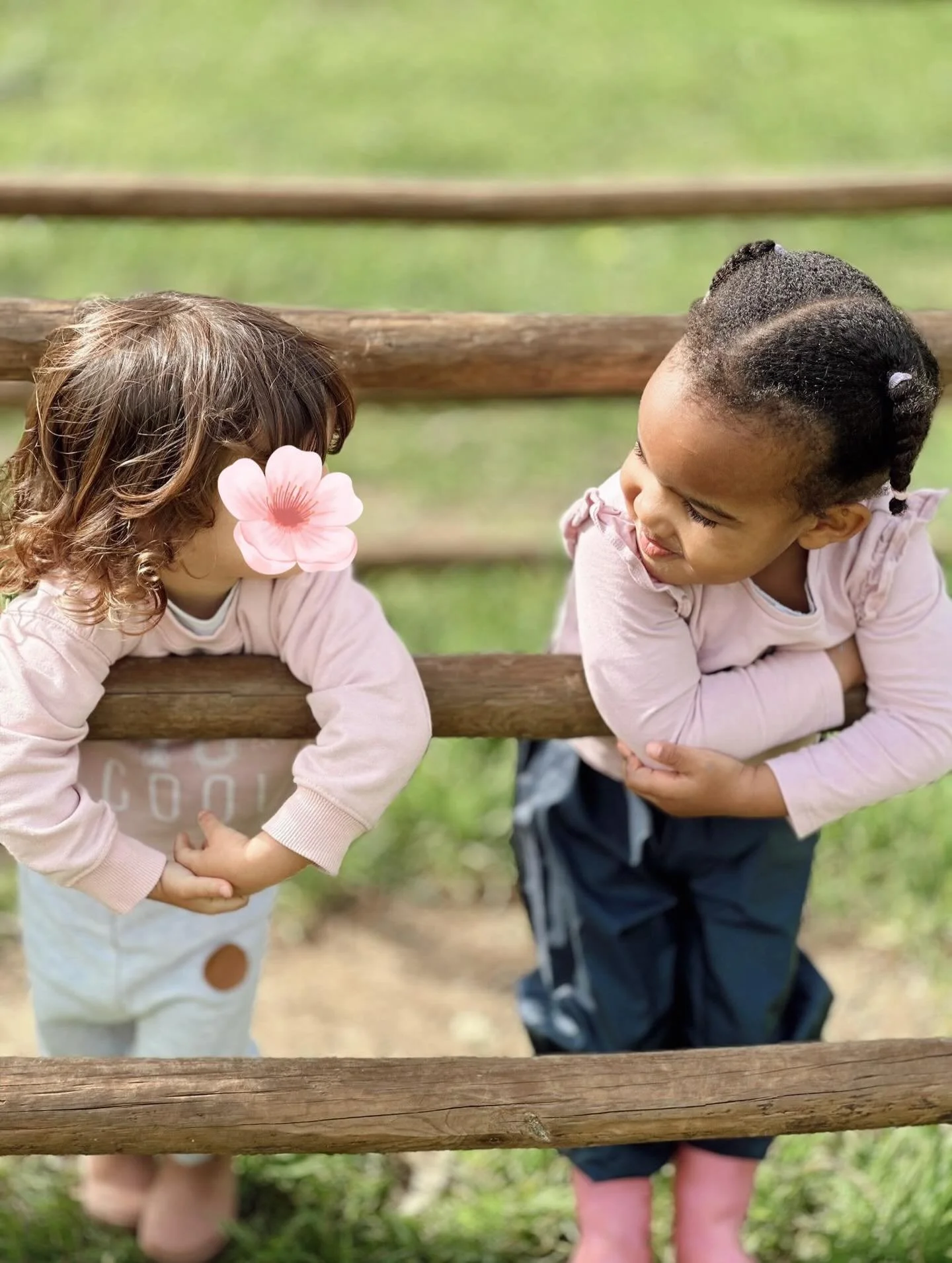 Day by day, spring is on it&rsquo;s way 🪻

__
Dia a dia, a primavera est&aacute; a caminho 🪻