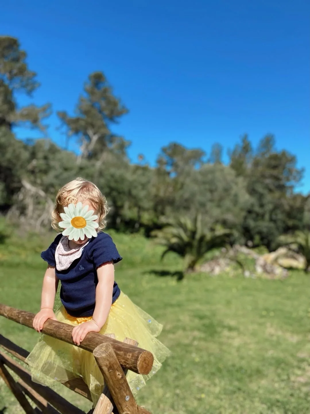 Grateful for another week of little discoveries 🌿

__
Gratos por mais uma semana de pequenas descobertas 🌿