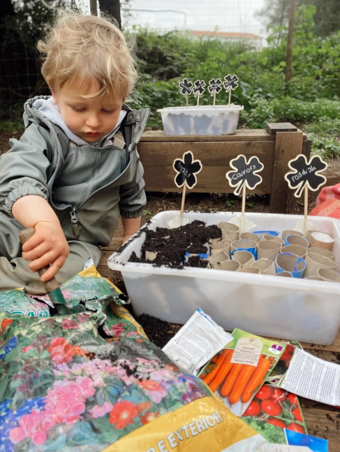 Wald, where spring turns into little adventures 🐝

__
Wald, onde a primavera se transforma em pequenas aventuras 🐝