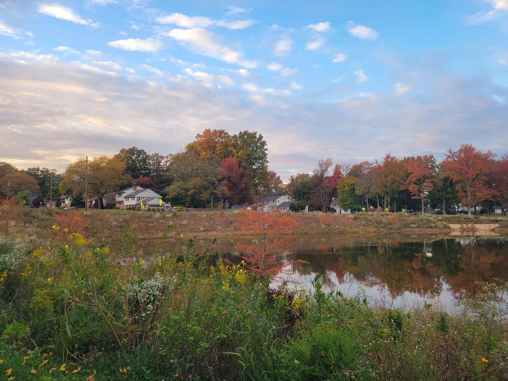 Our Services — Brandywine Nurseries Delaware Landscaping