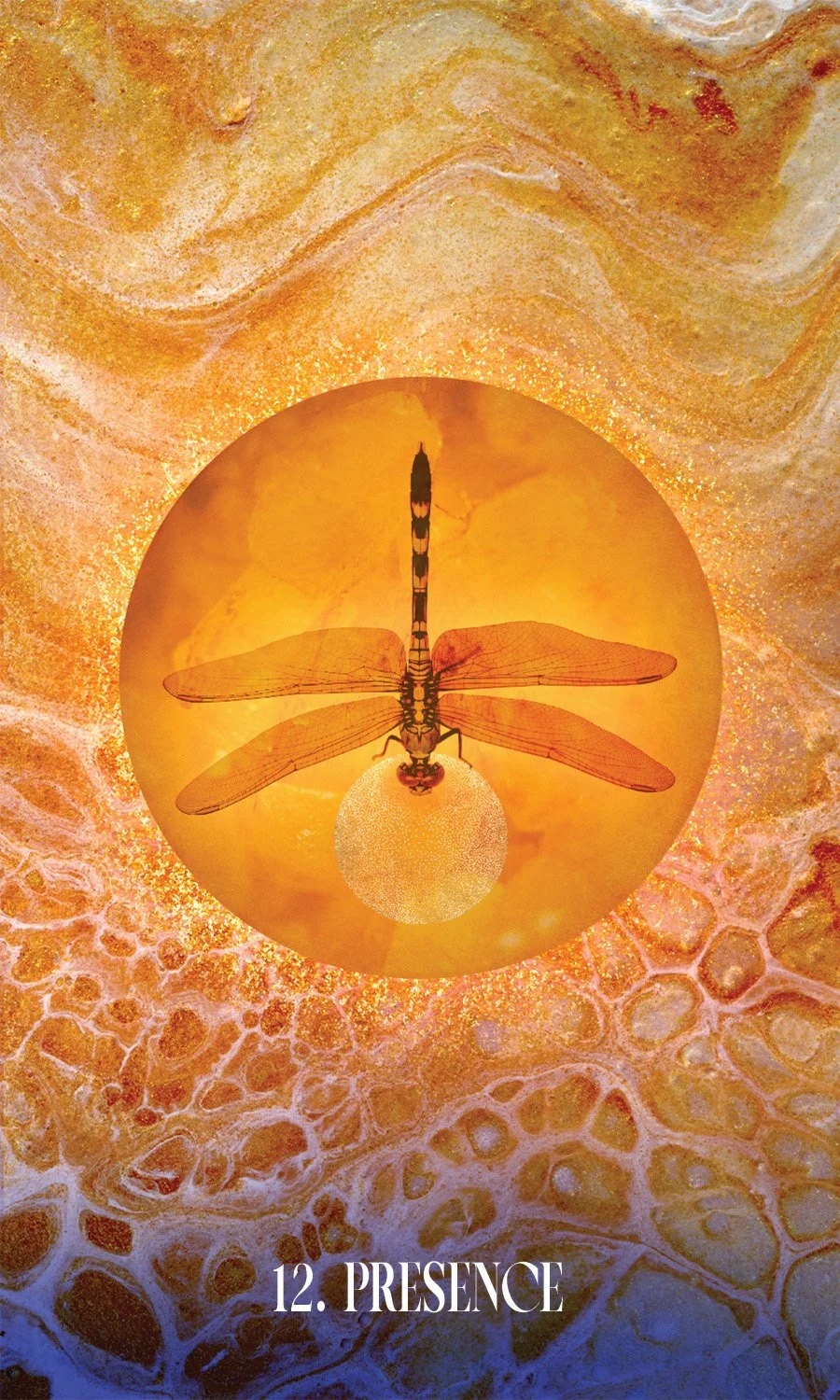 A dragonfly preserved in amber hangs upside down in a golden rock. A gold halo glows around the head of the dragonly.