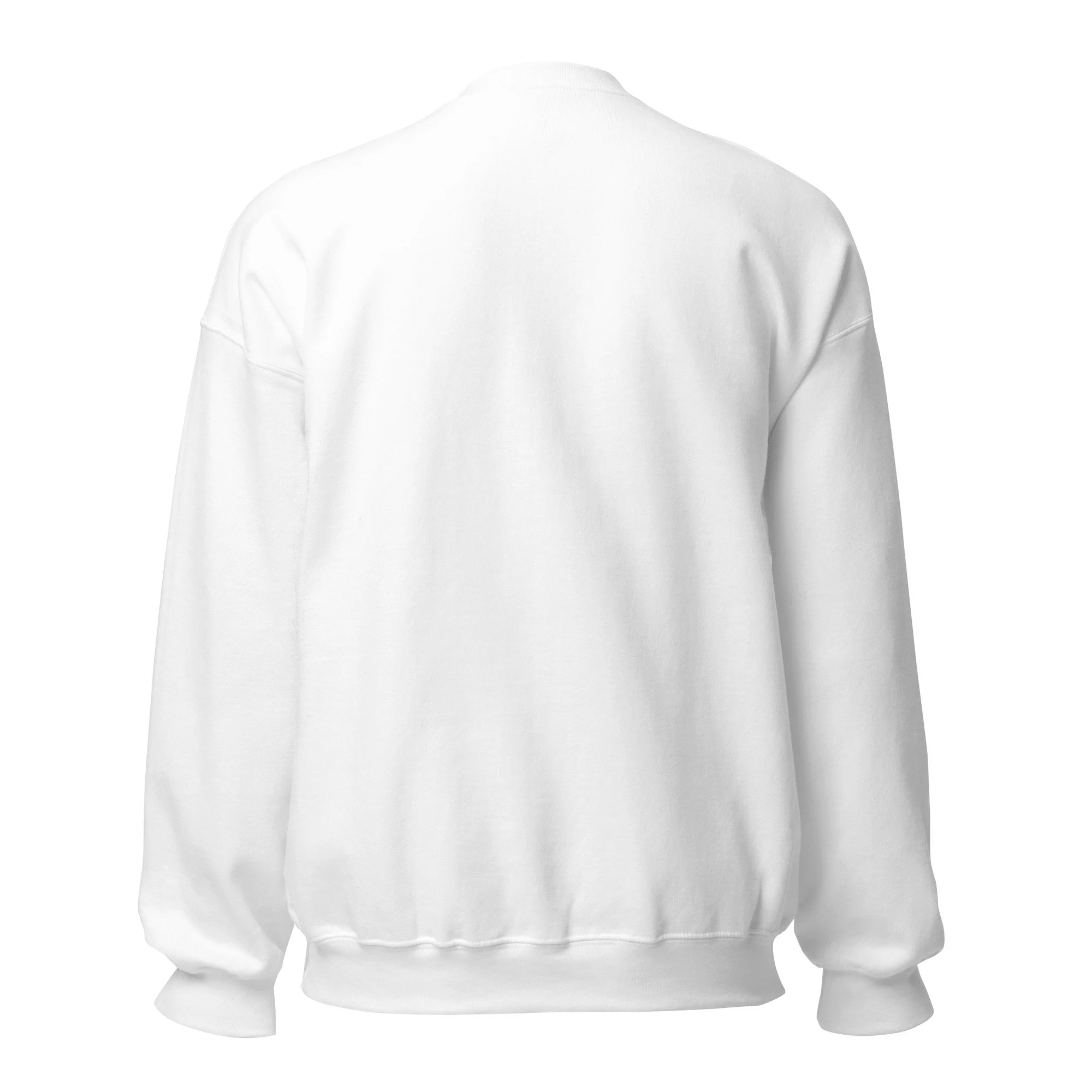 unisex-crew-neck-sweatshirt-white-back-68a39579b02b9.jpg