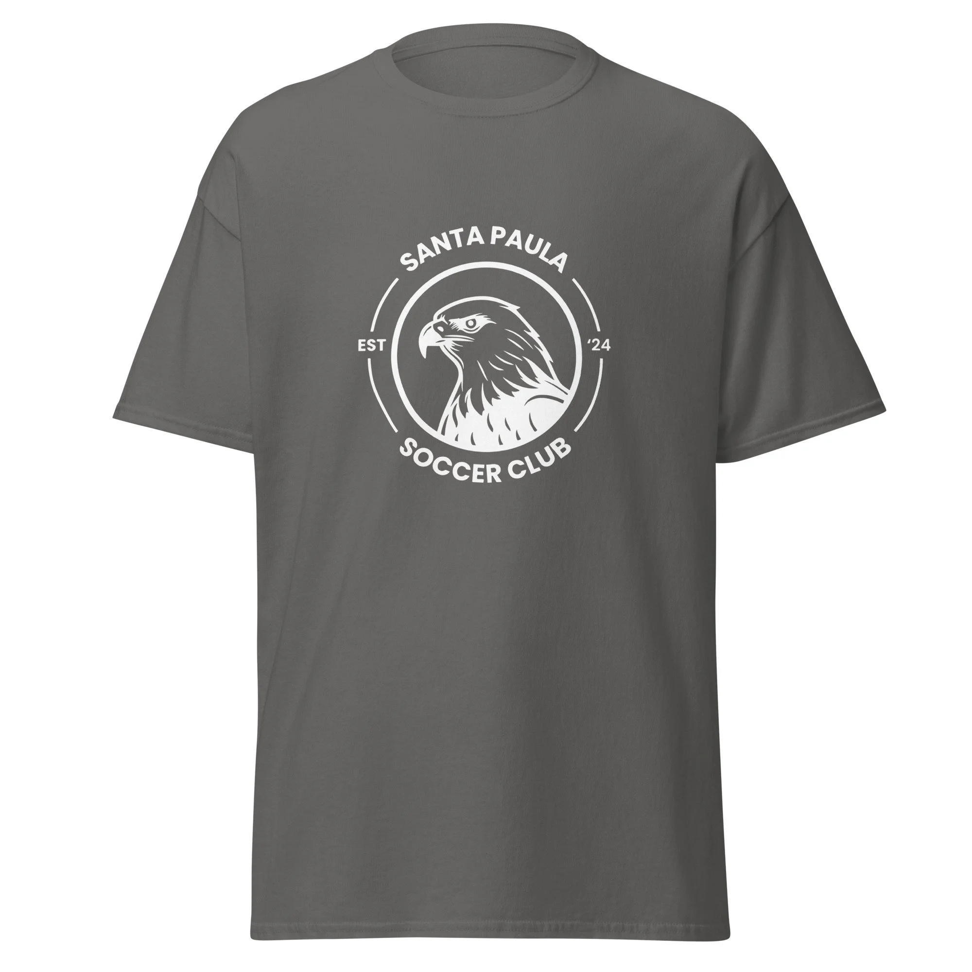 unisex-classic-tee-charcoal-front-68a3ca6de9e44.jpg