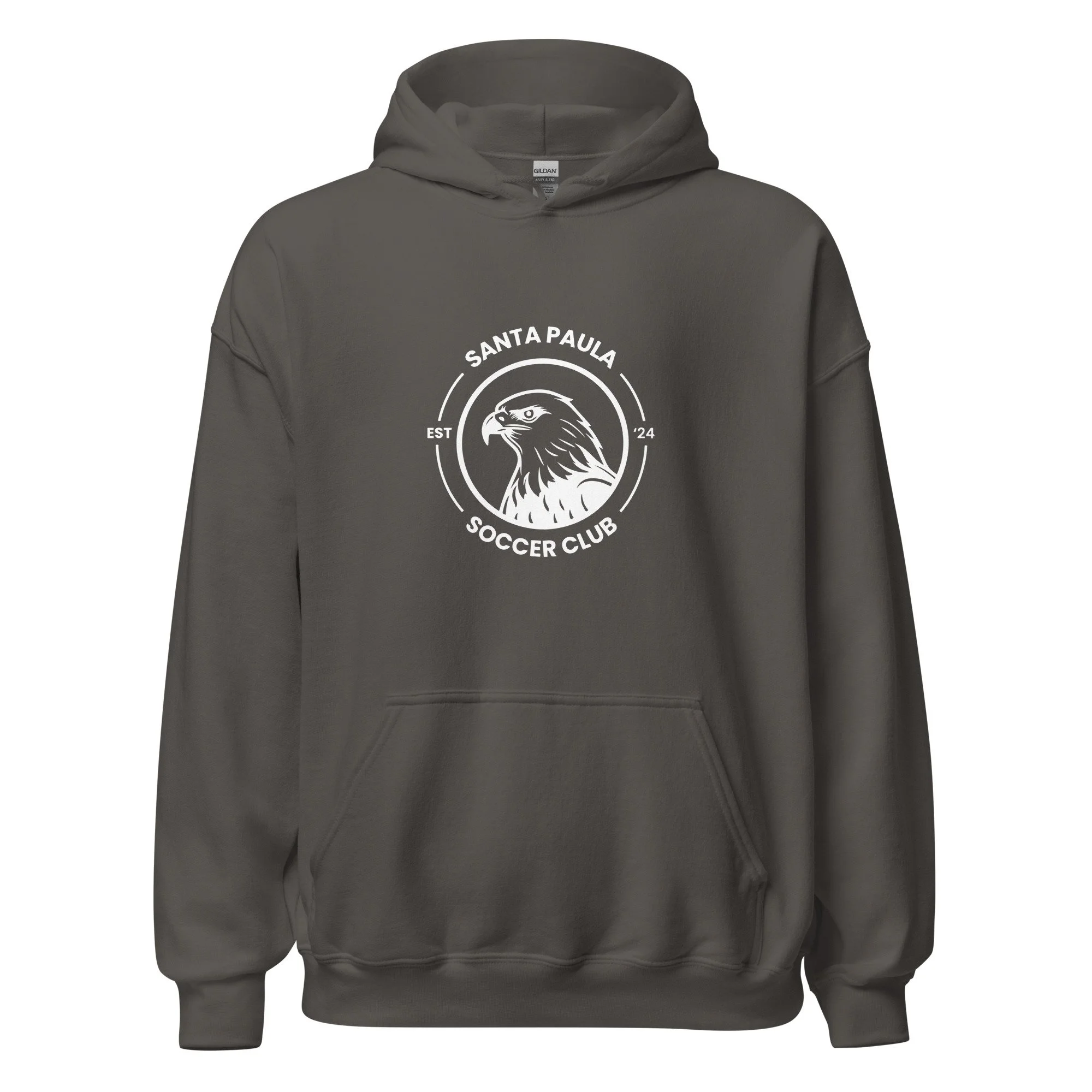 unisex-heavy-blend-hoodie-charcoal-front-68a3cae7da1f8.jpg