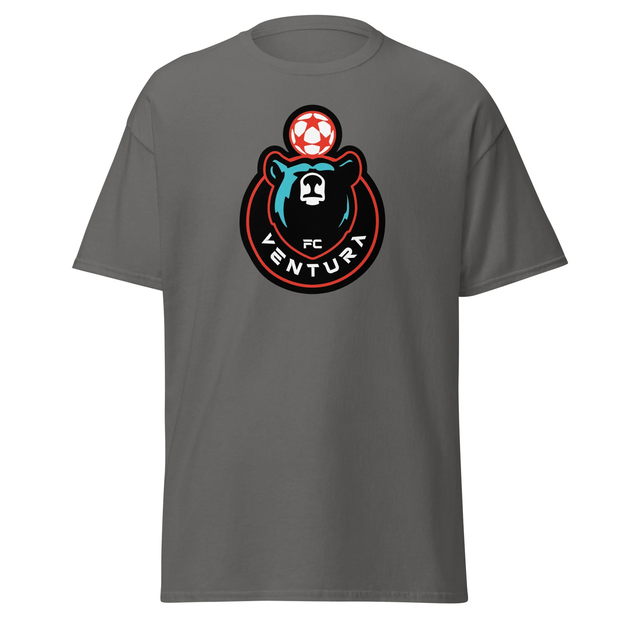 unisex-classic-tee-charcoal-front-68a3d3a05b109.jpg