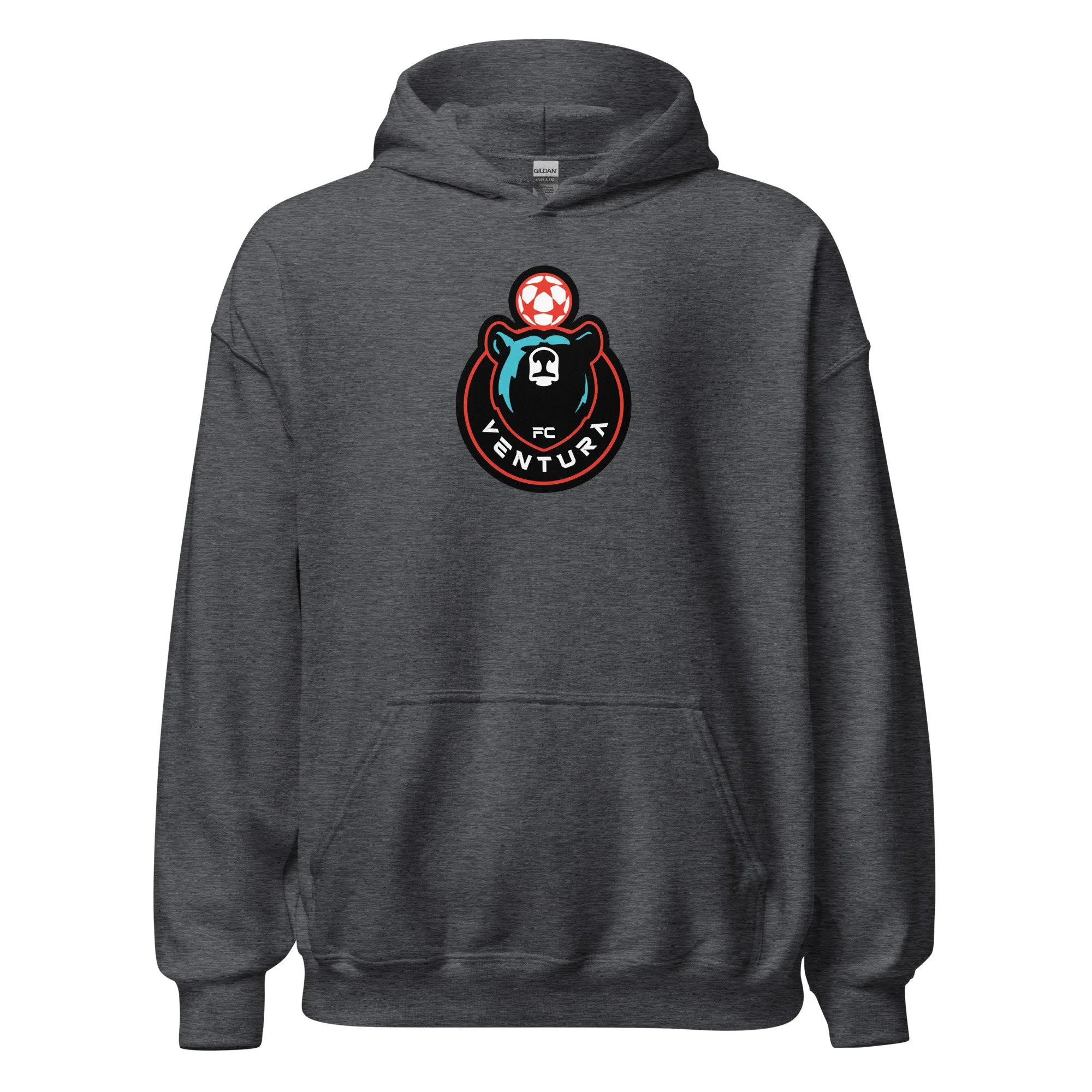 unisex-heavy-blend-hoodie-dark-heather-front-68a3d457e2b34.jpg