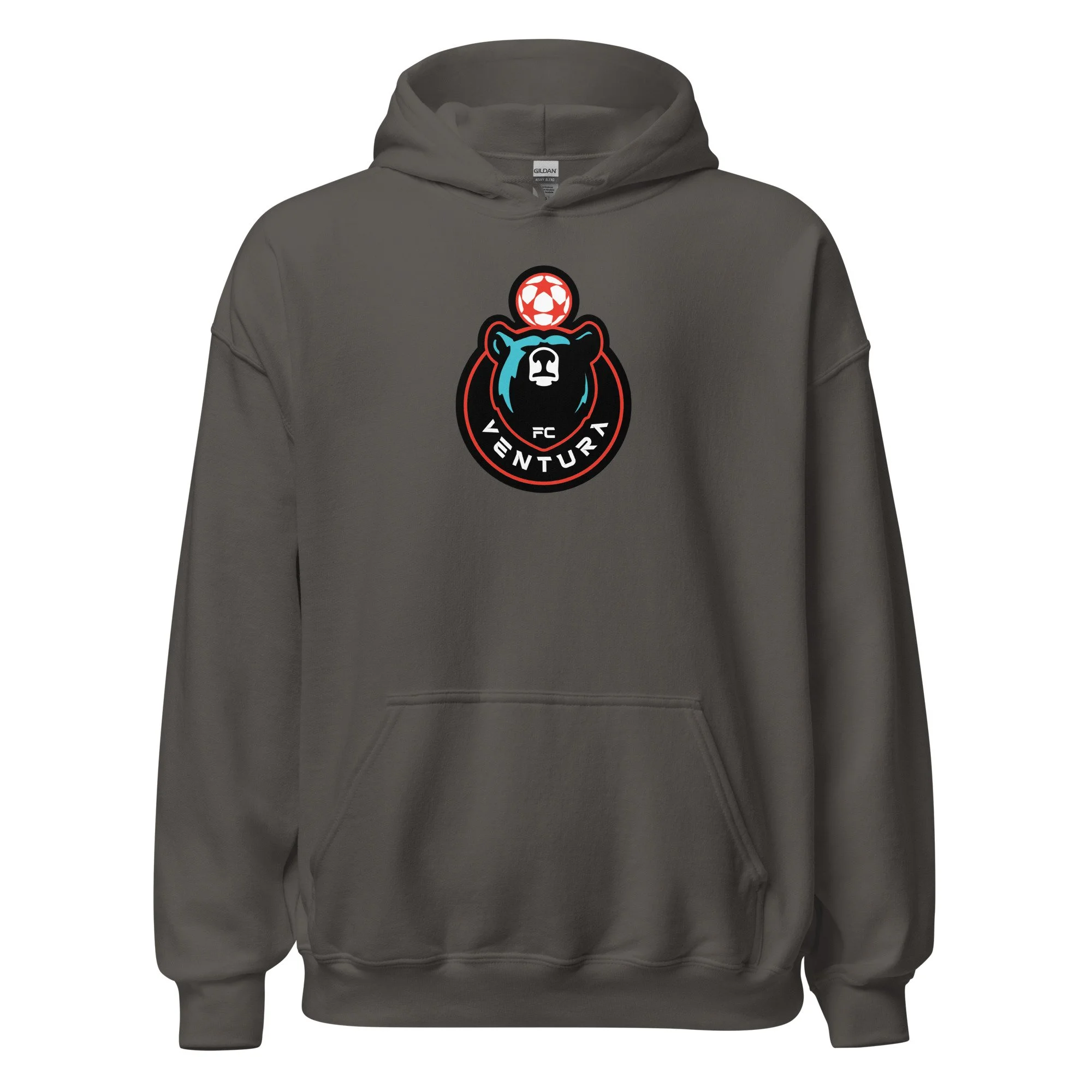 unisex-heavy-blend-hoodie-charcoal-front-68a3d457f1825.jpg