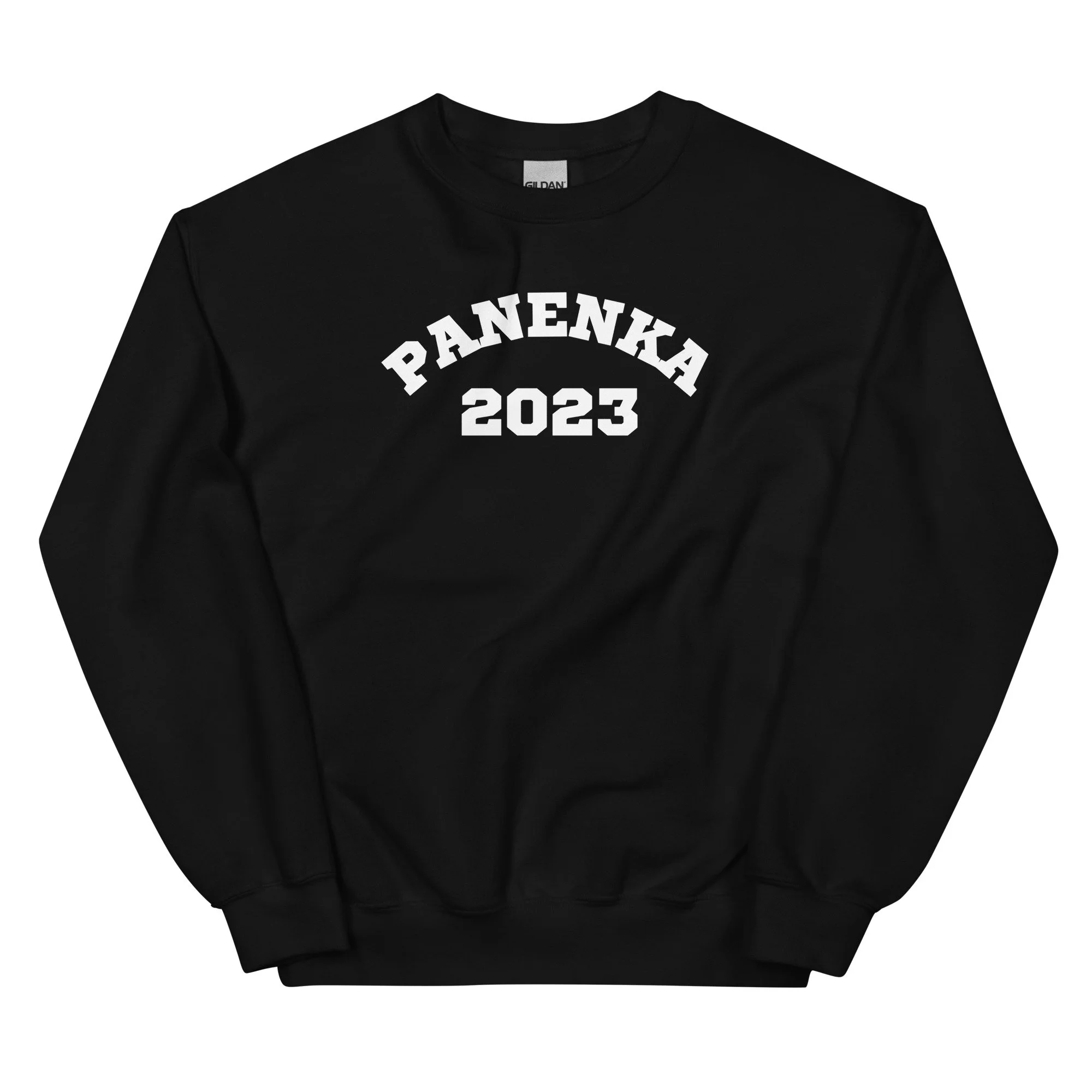 unisex-crew-neck-sweatshirt-black-front-68a8c955721b7.jpg