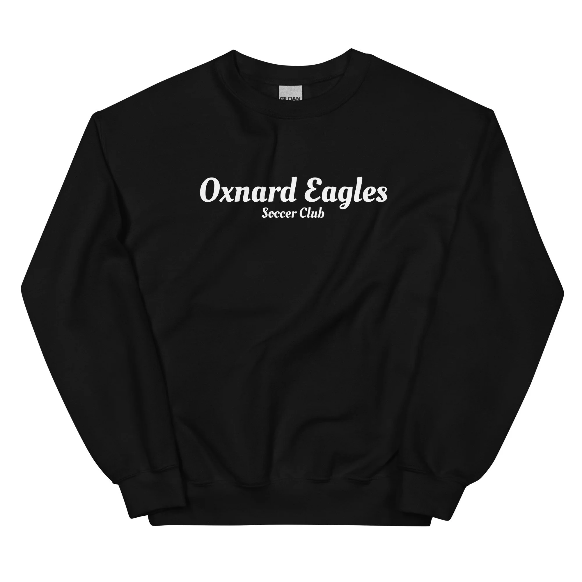 unisex-crew-neck-sweatshirt-black-front-68abba6e185dd.jpg