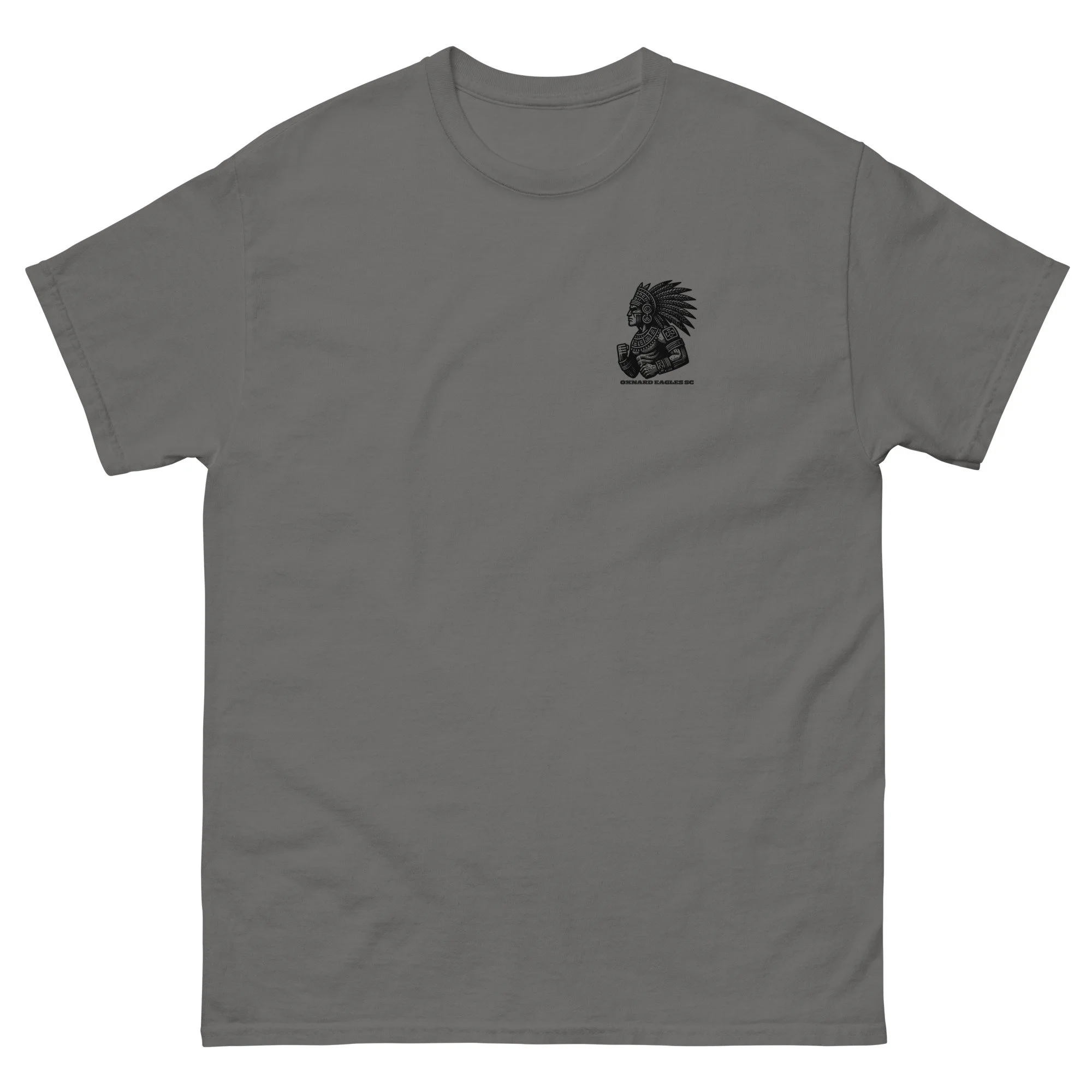 unisex-classic-tee-charcoal-front-68b1de881b390.jpg