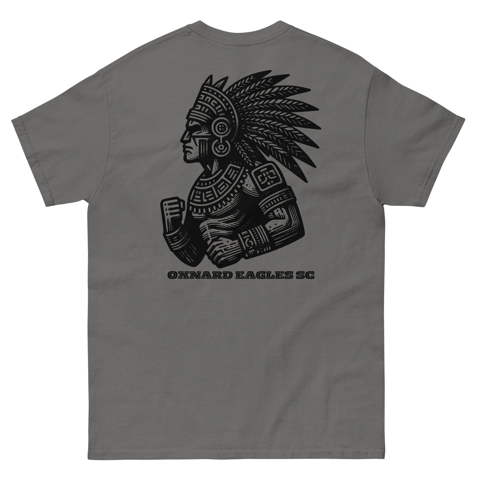 unisex-classic-tee-charcoal-back-68b1de881c4e6.jpg