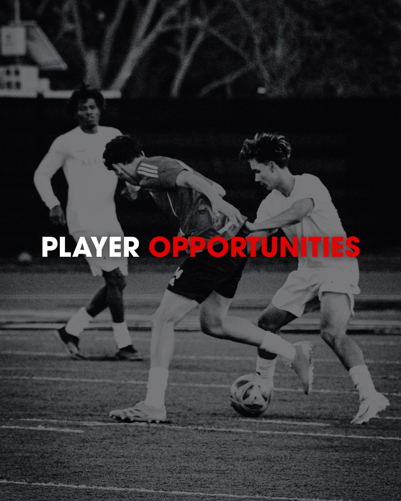 Learn more ⬇️⬇️⬇️

Ventura Football Network shares real player opportunities and requests provided directly by clubs, agents, and partners.

There are no fees to apply.
No memberships required.
Open access for players of all backgrounds.

Join our Pl