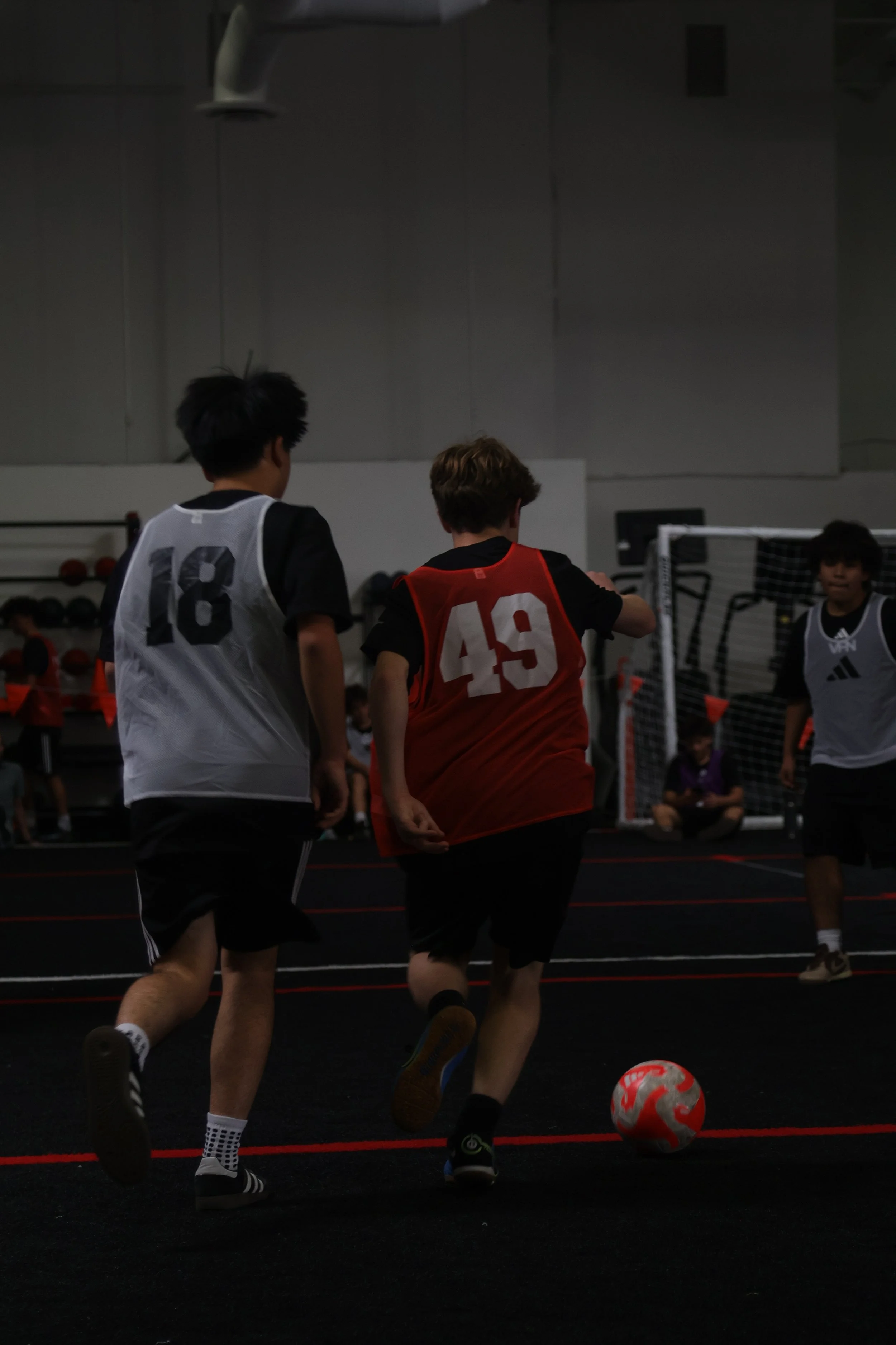 IMG_7355.jpeg