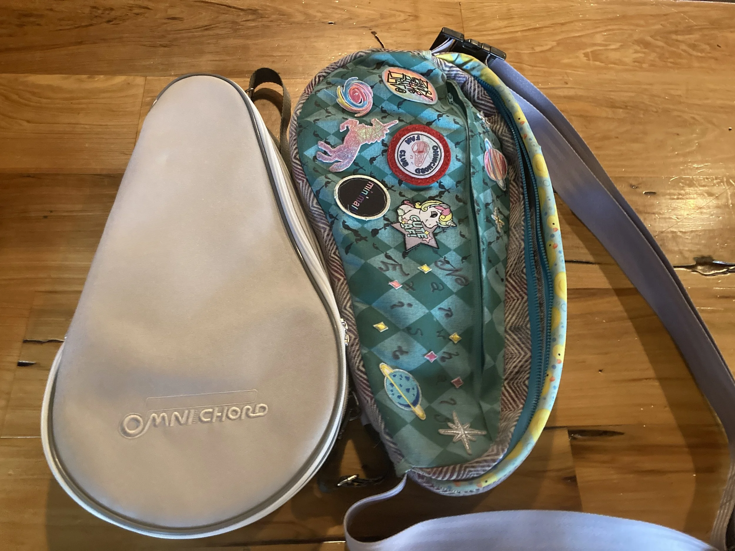 omnichord case.jpeg