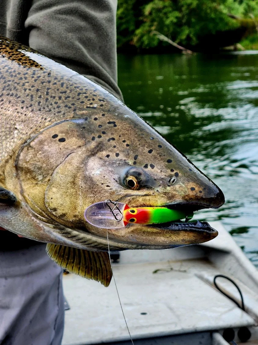 Fishing Report September 4th 2025