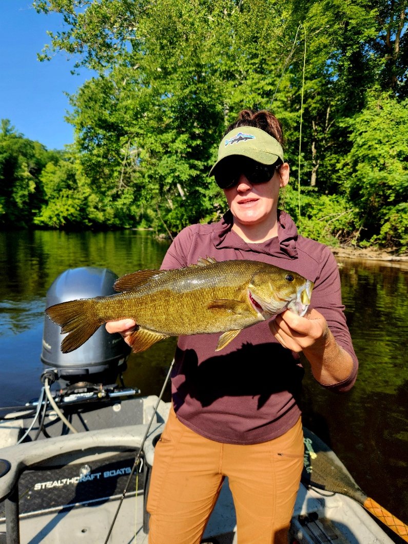 fly fishing for smallmouth bass on the muskegon river.