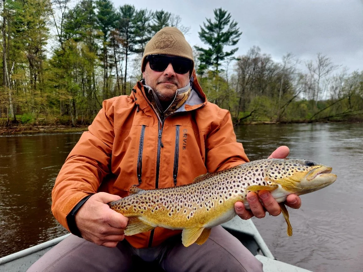 Muskegon river brown trout fly fishing for brown trout newaygo michigan tailwater charters.