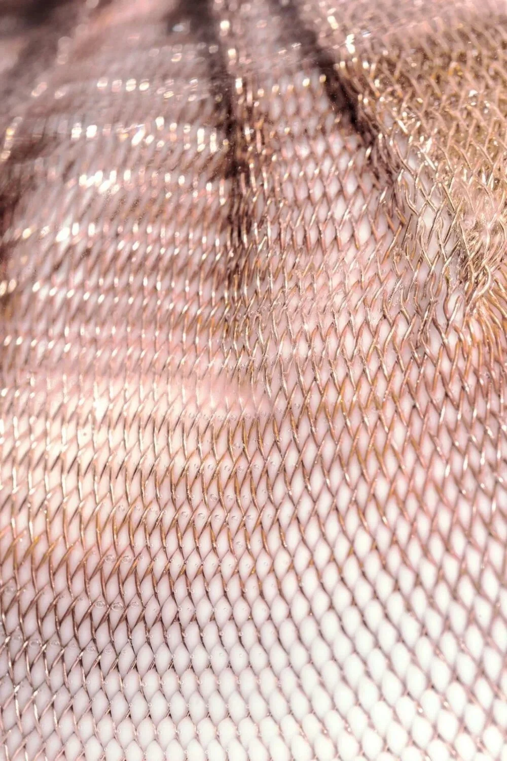 shop_BOCCI_84 Wall and Ceiling 2.jpeg