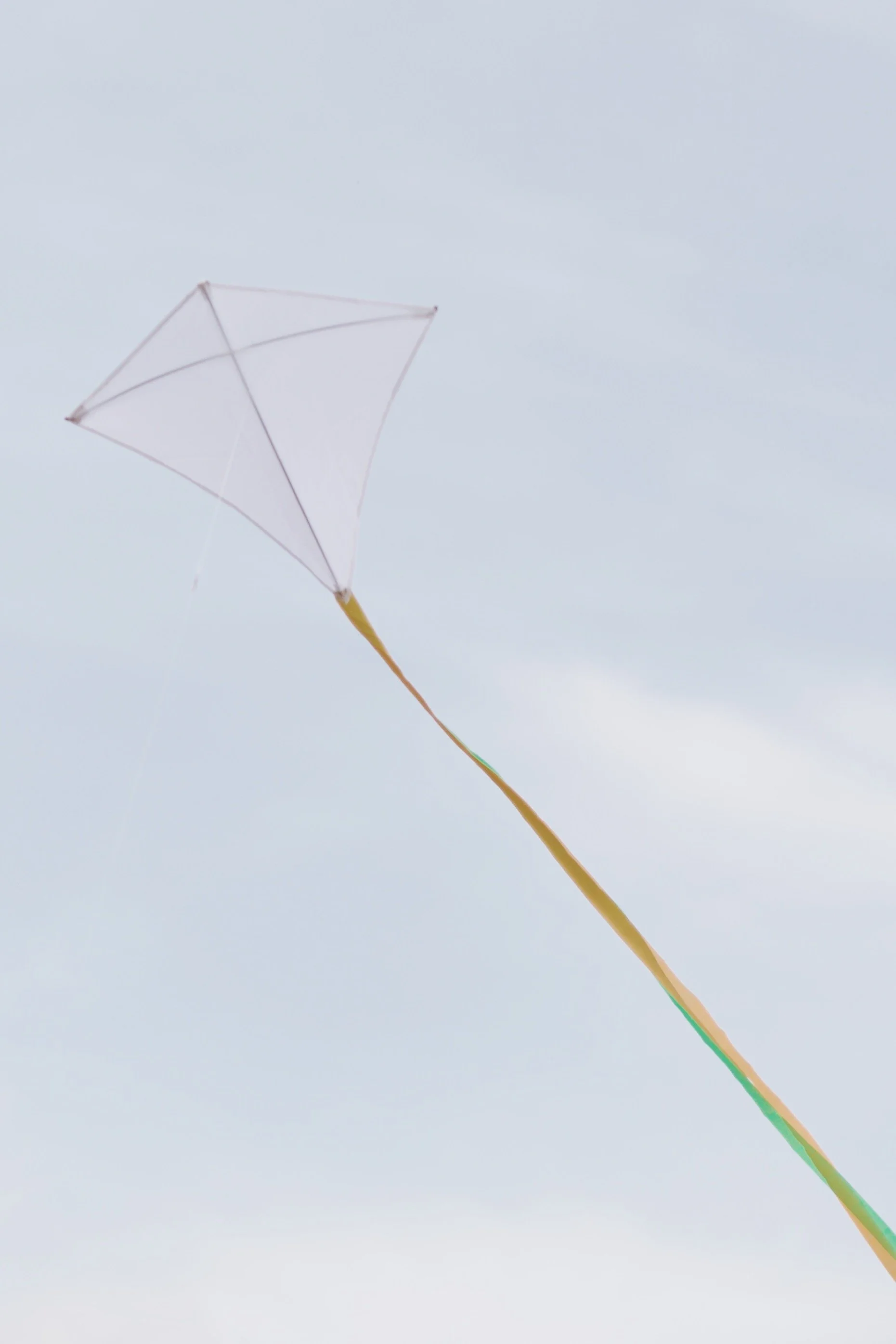 52E37BF8-F64C-4AF0-9D12-61234D30D3A8.jpeg