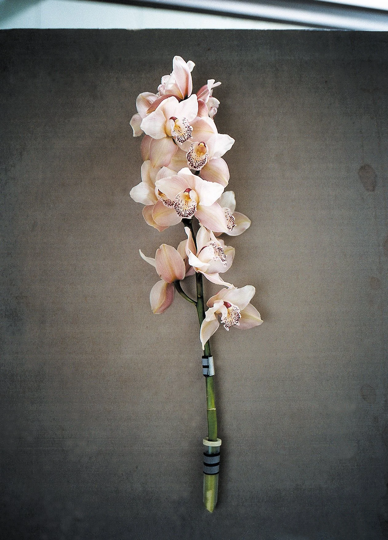 travel vase by artist Nora Gres