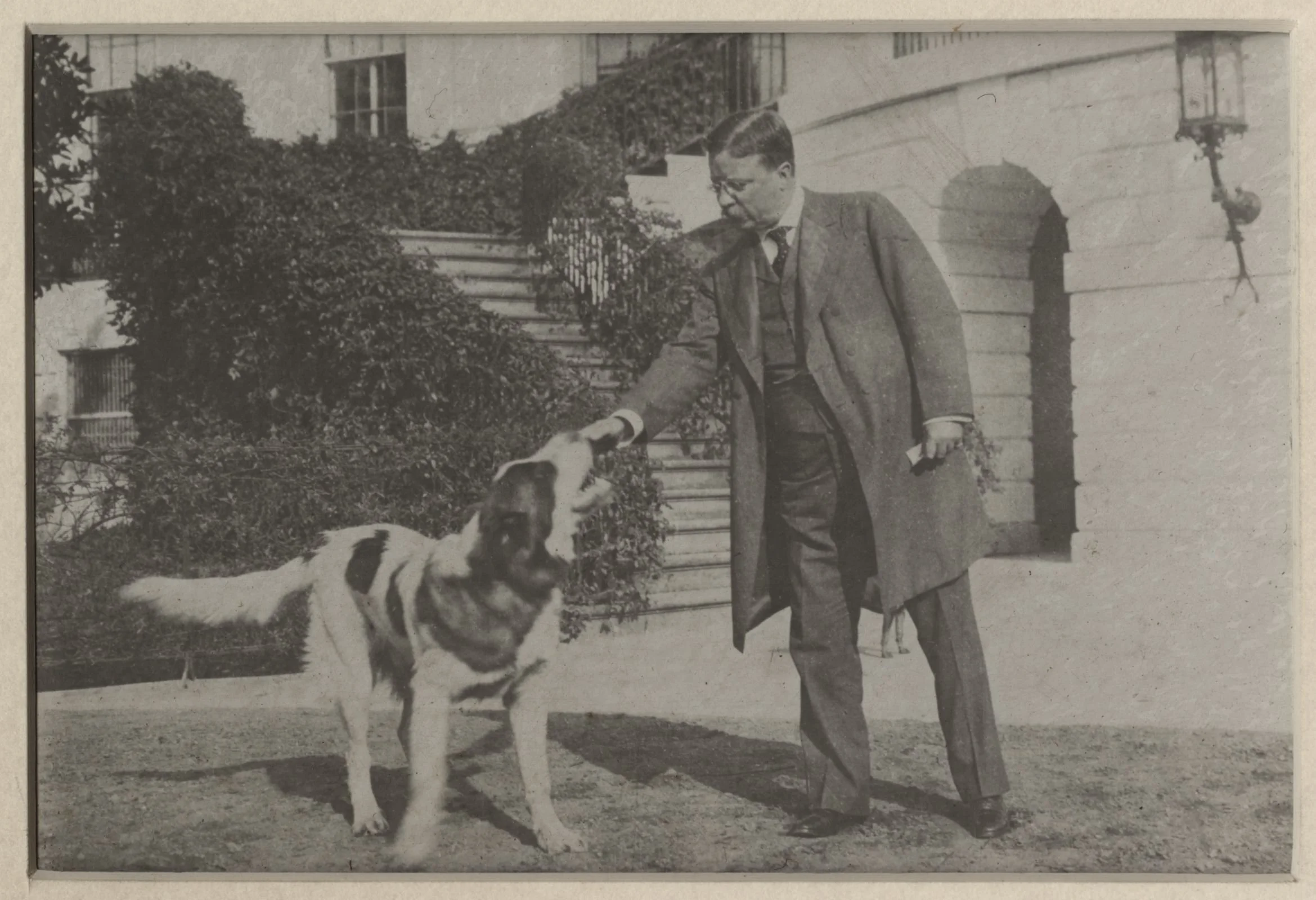 Hands On History_White House Pets Bingo.jpg