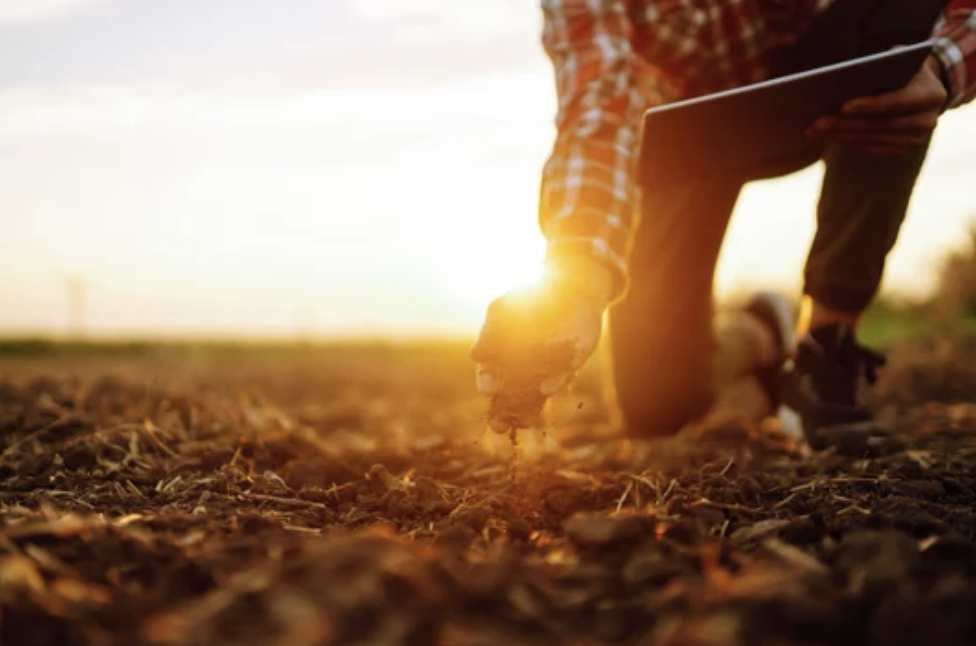 Building Resilience: