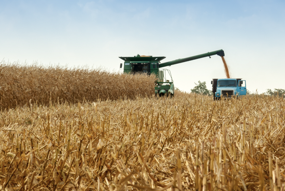 Weathering the Harvest:
