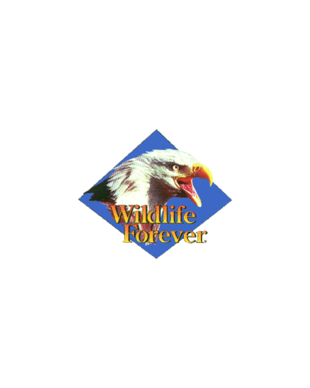 Untitled design (27).png