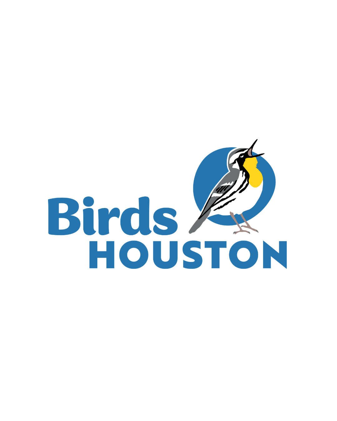 Birds houston.png