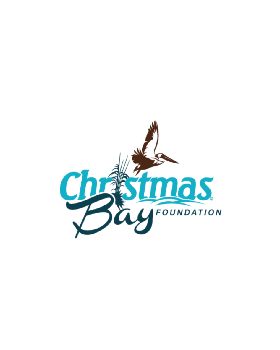 christmas+bay.png