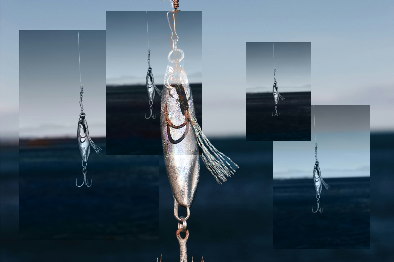 What If Fish Could Tell Stories