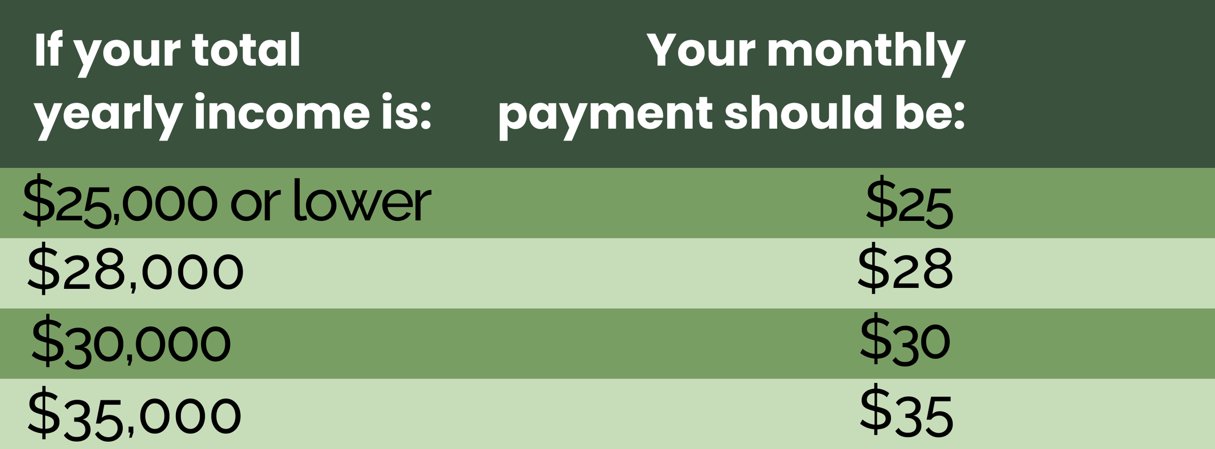 Court Debt Payment Plan Pamphlet | Explore Payment Options Today ...