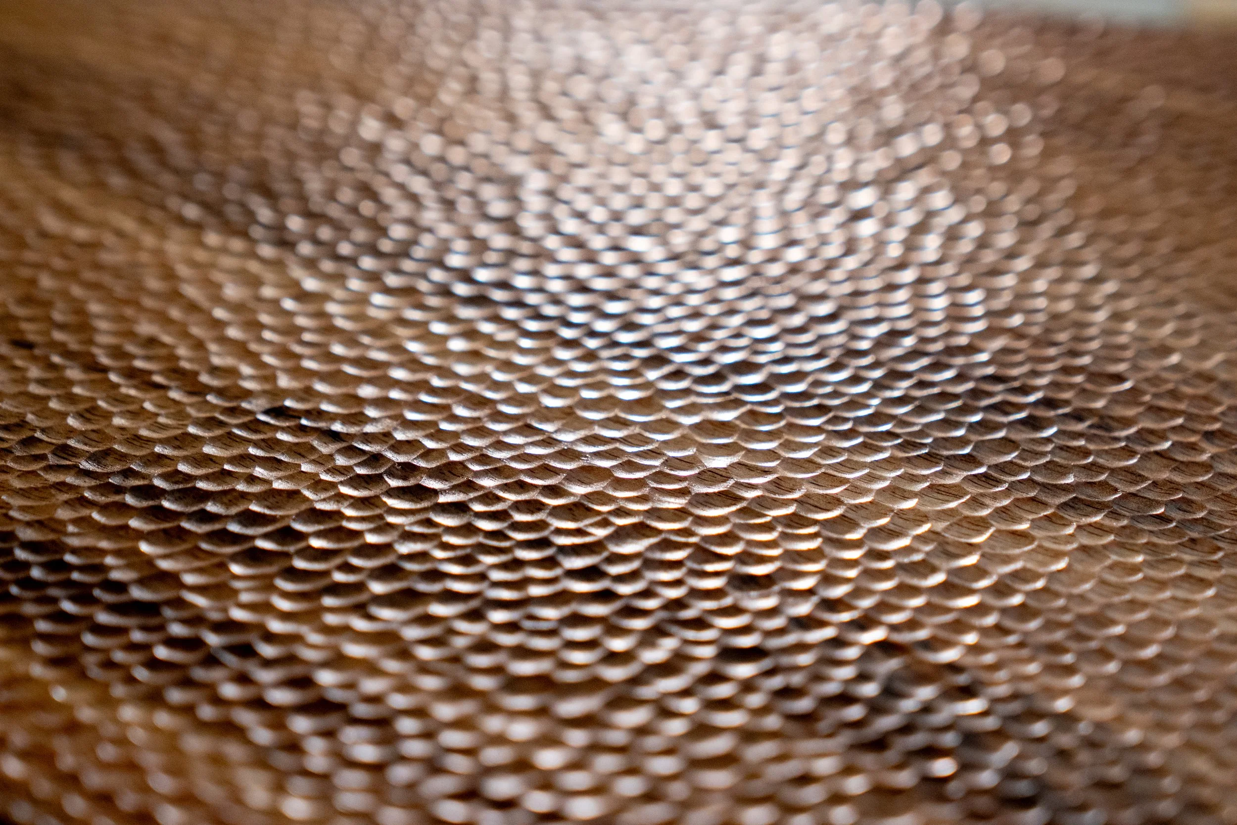 untitled-03501.jpg