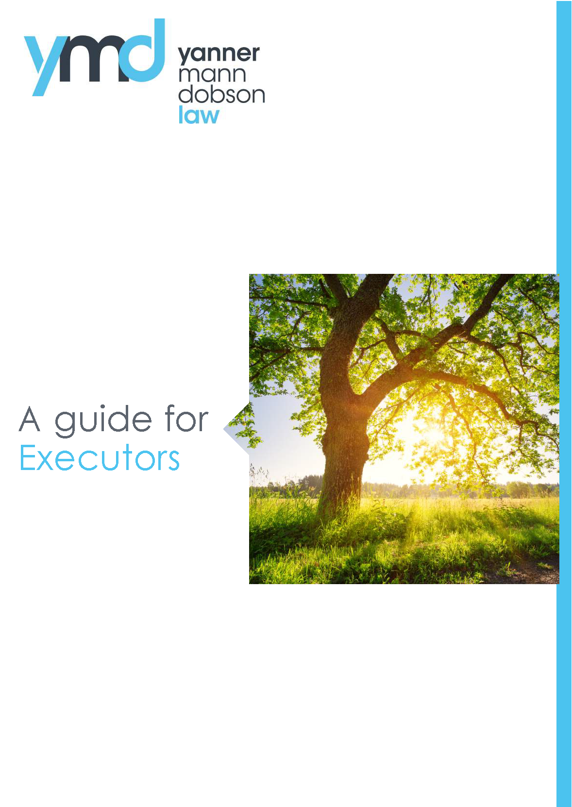 A-Guide-for-Executors.compressed_Page_01.png