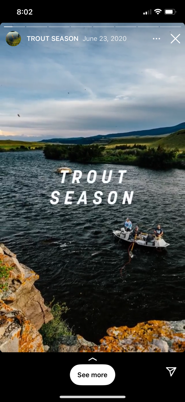 Trout Season