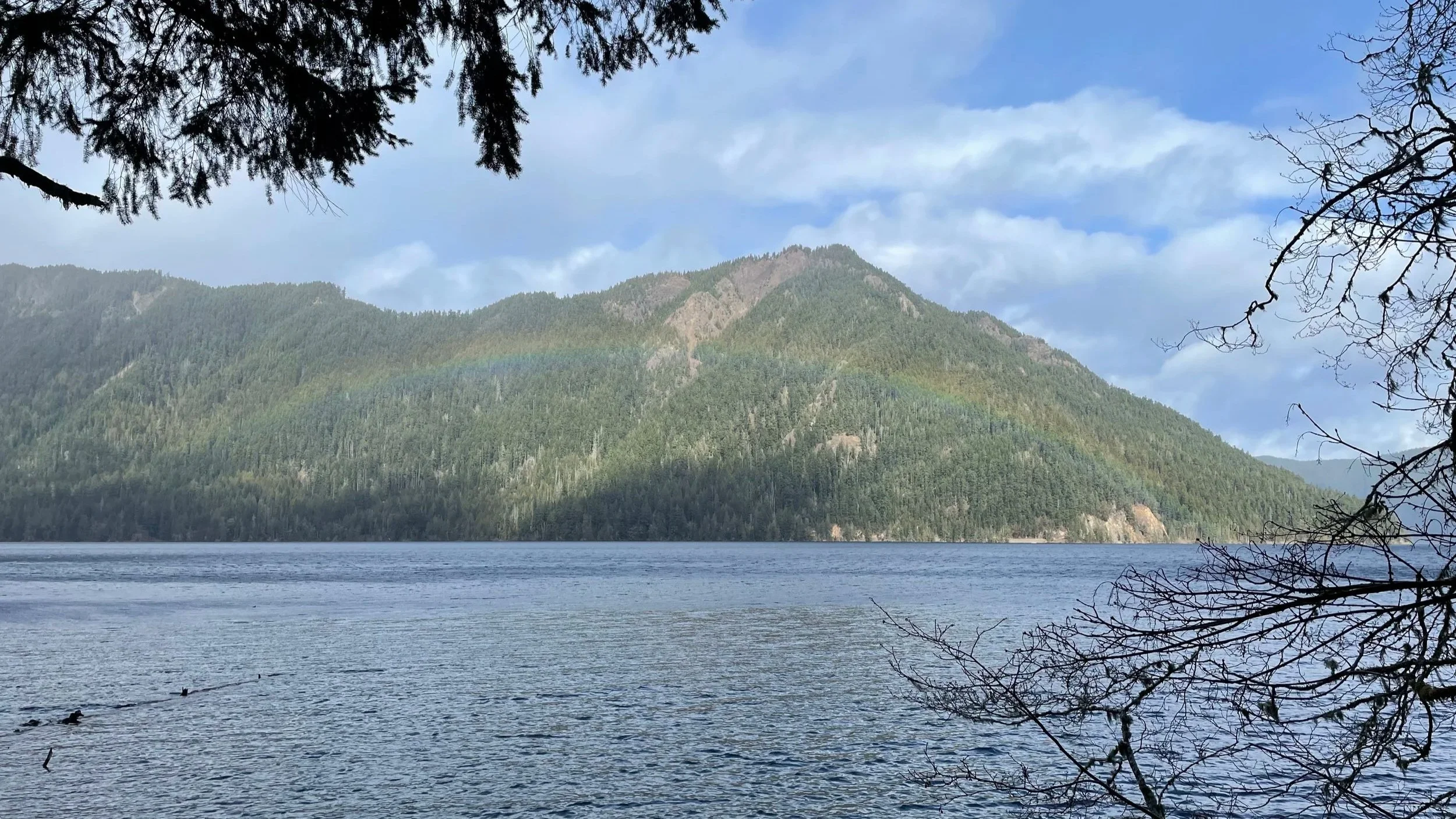 The Best Fly Fishing is Everywhere - 02.13.2026