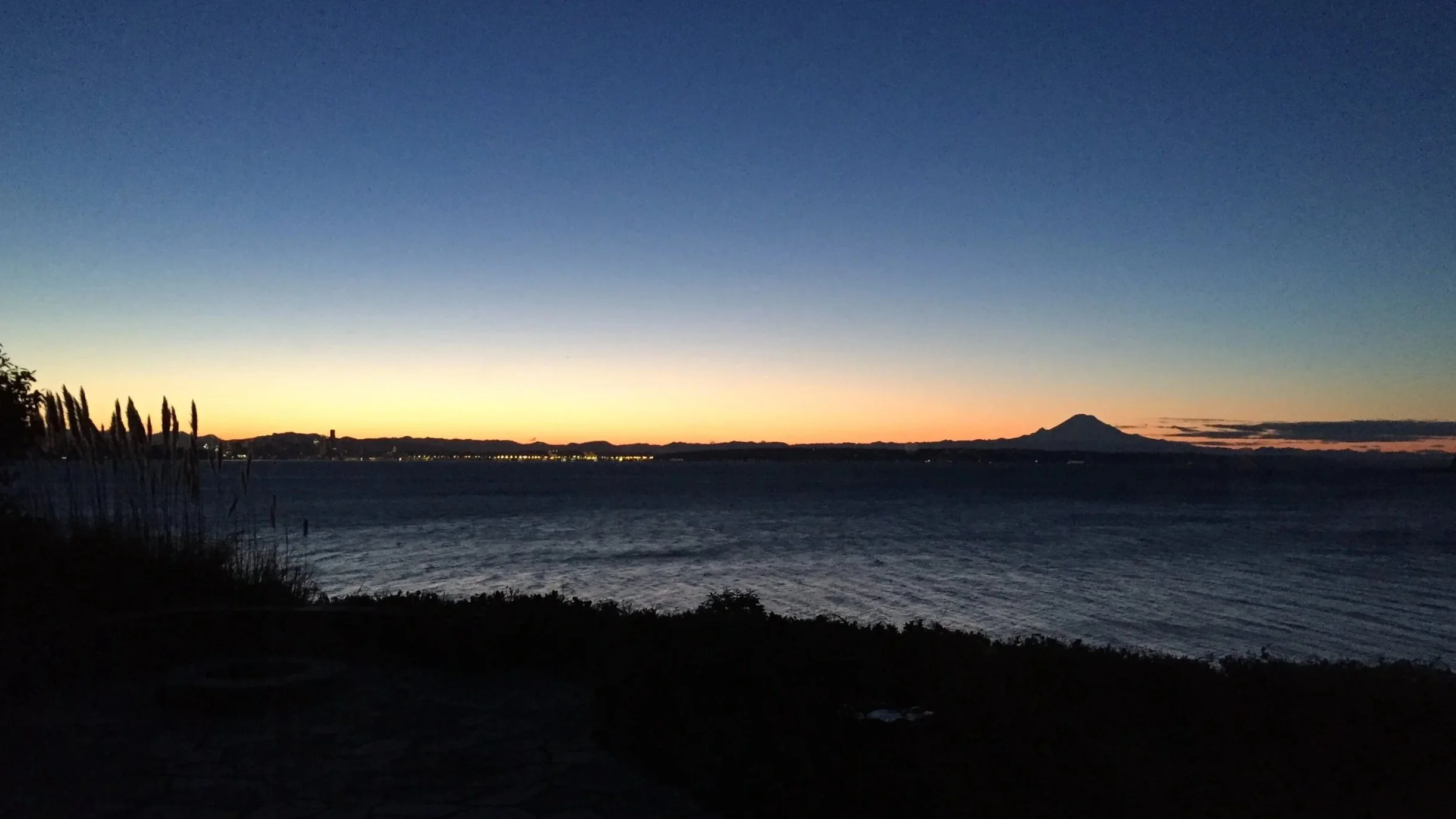 The Best Fly Fishing is Everywhere - 12.12.2025