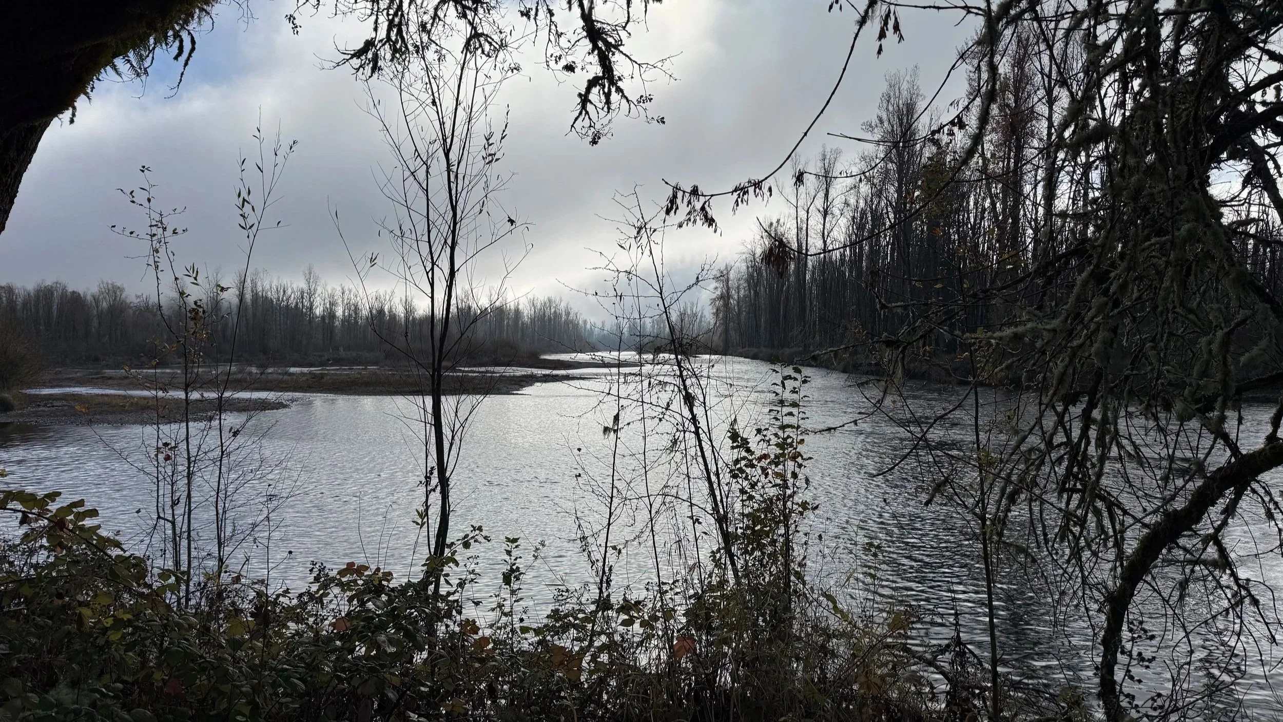 The Best Fly Fishing is Everywhere - 11.27.2025