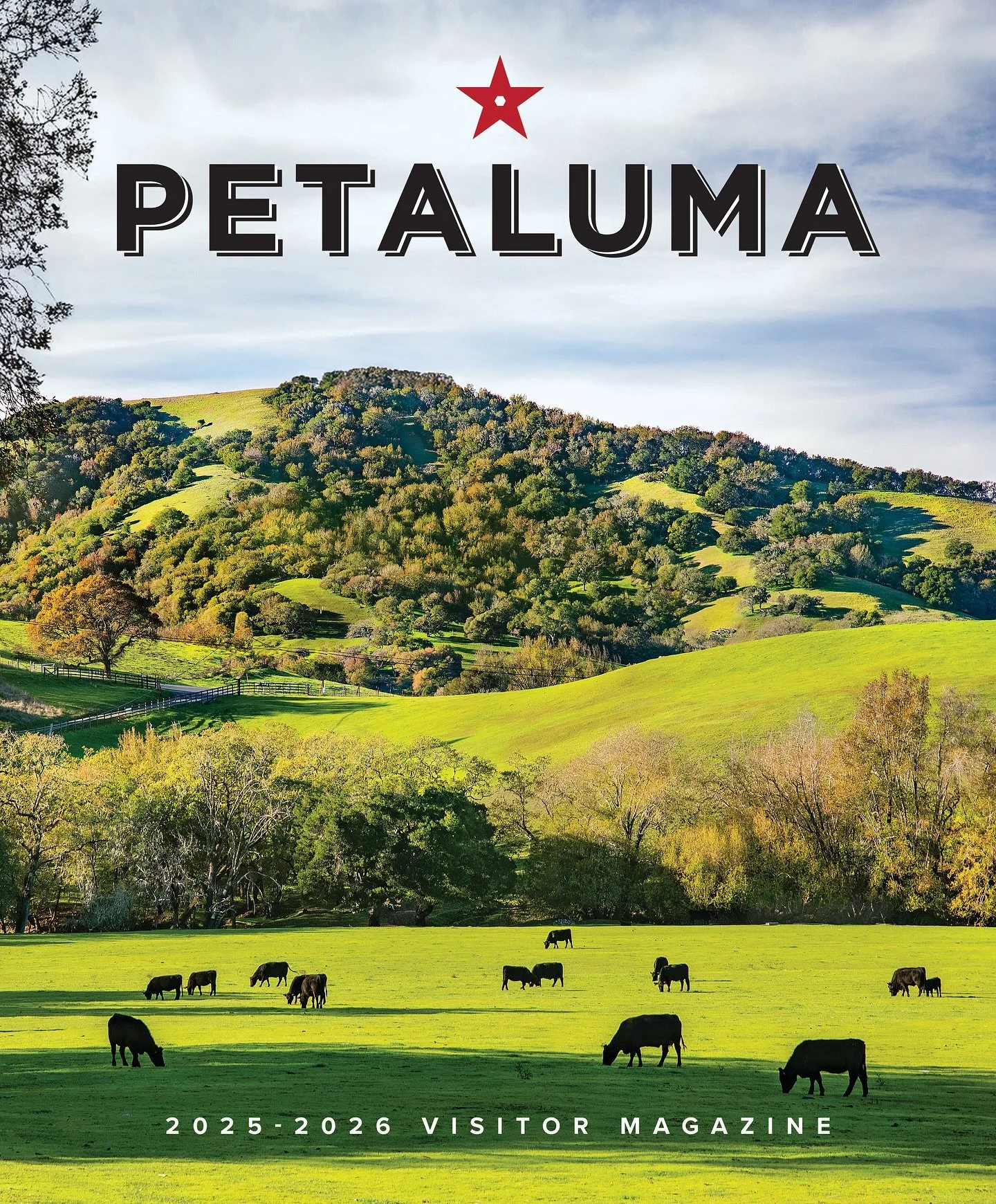 Meet the world&rsquo;s luckiest cows! 🐄&hearts;️ 

The 2025/2026 @visitpetaluma Magazine is hot off the press, and it&rsquo;s packed with tips for exploring this bucolic Sonoma County town. Swipe ⬅️ for a few of our fave layouts, and find the digita
