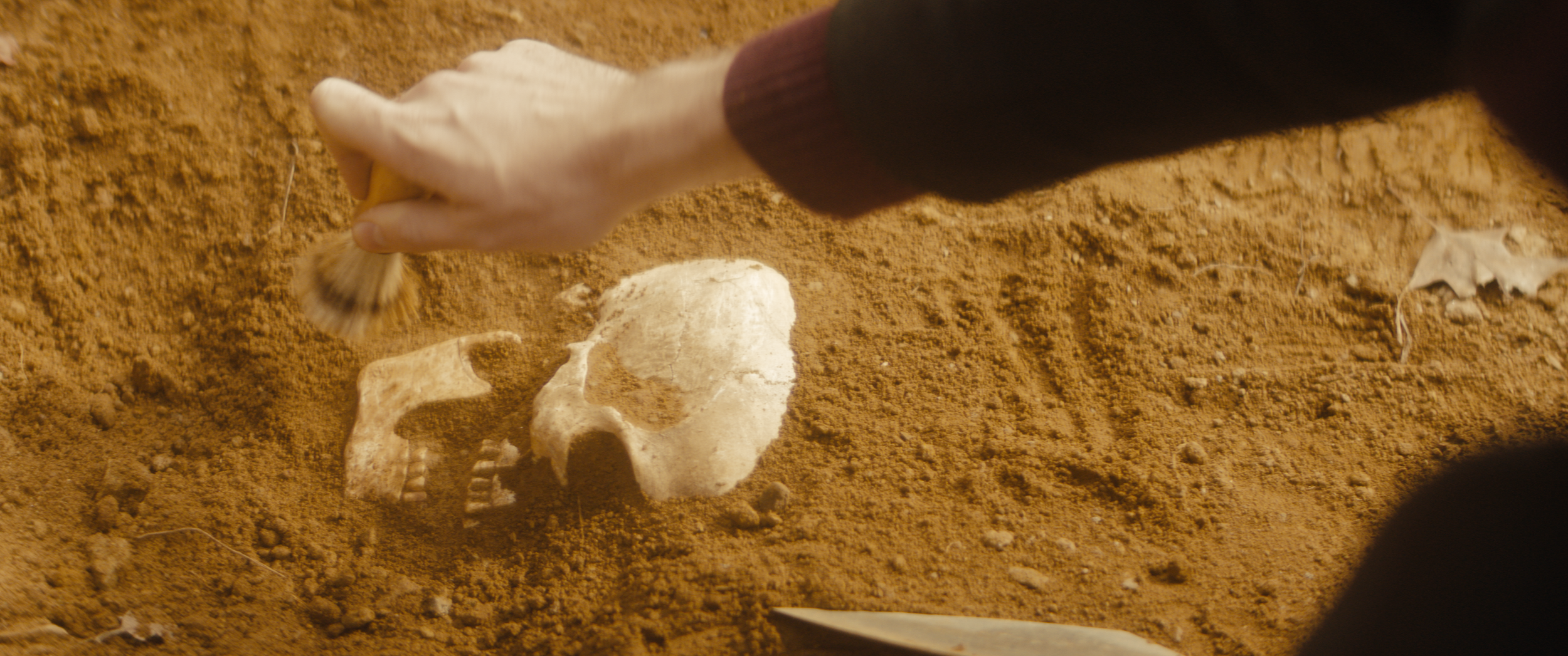 ARRI sequence Copy 01.00_29_54_15.Still063.PNG