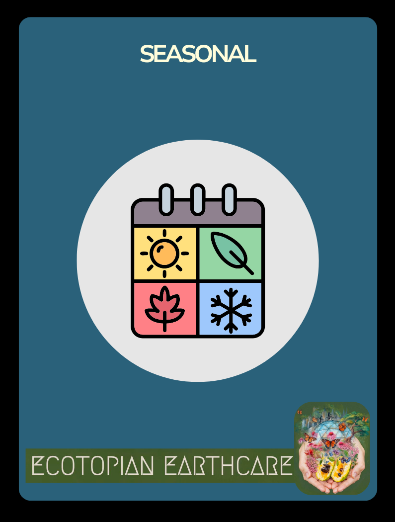 Card Game Seasonal Deck Back.png