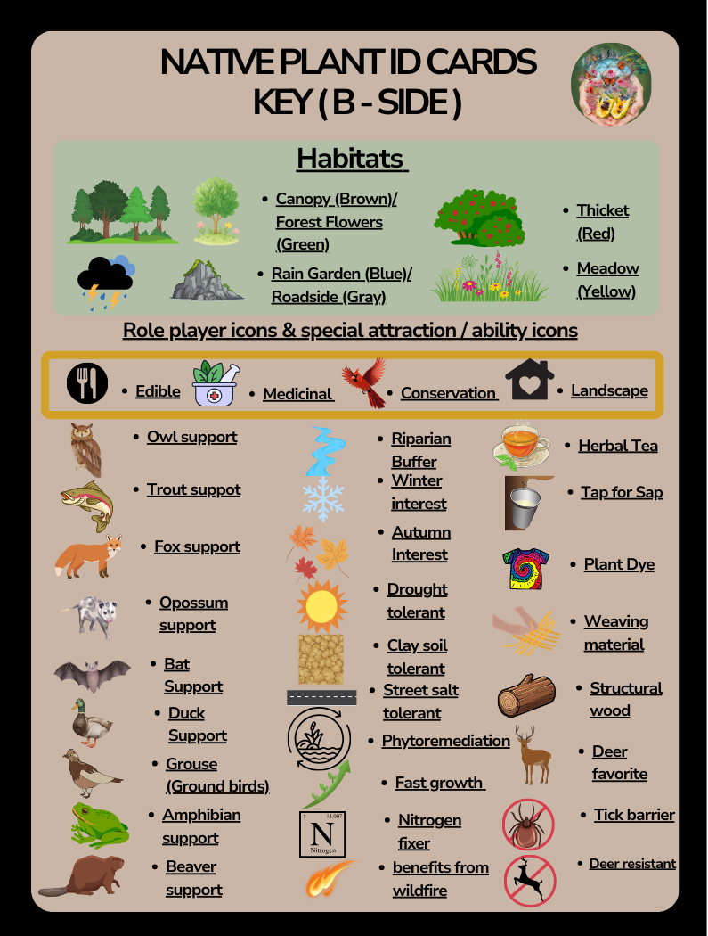 Card Game Icon Card B.png