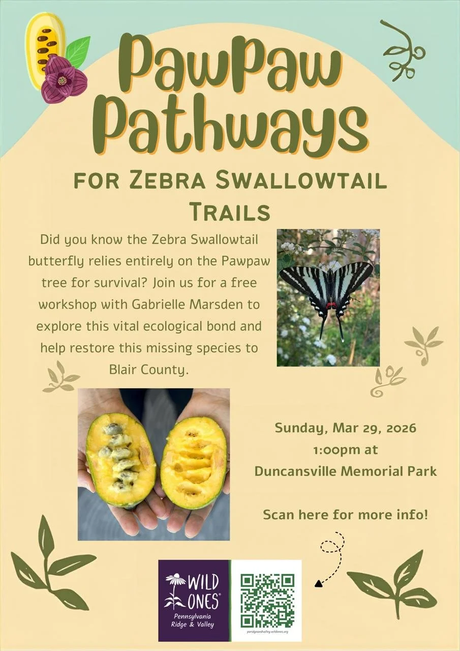 Pawpaw Pathways for Zebra Swallowtail Trails (Blair County and surrounding counties)