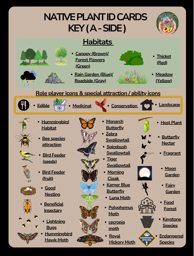 Card Game Icon card A.png