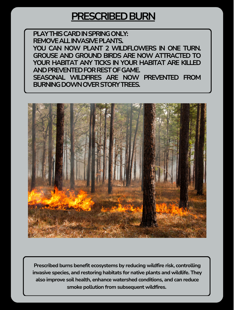 Card Game Prescribed Burn (1).png