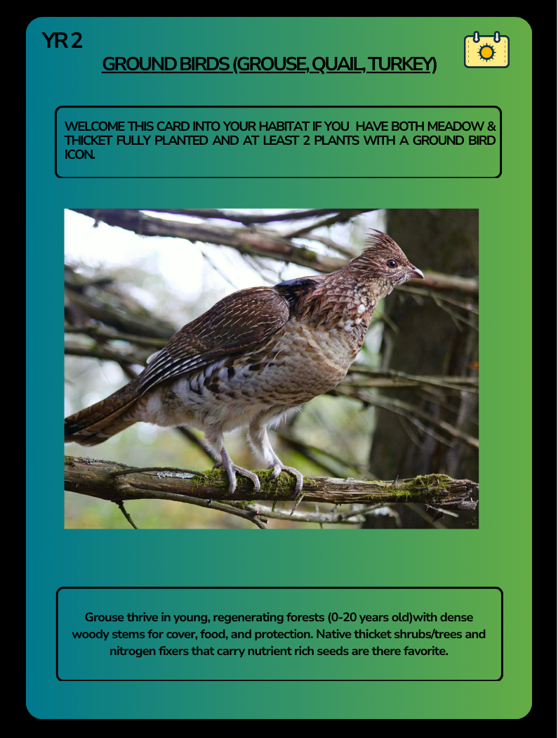 Card Game Wild Life Grouse.png