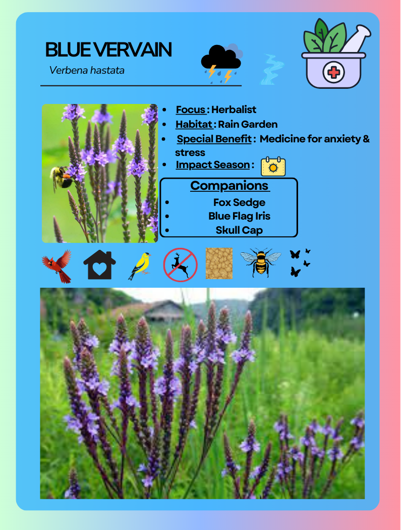 Card Game Blue Vervain.png